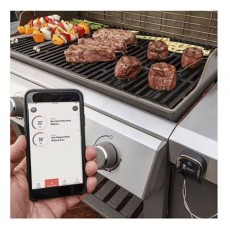 Weber iGrill 3 Thermometer
