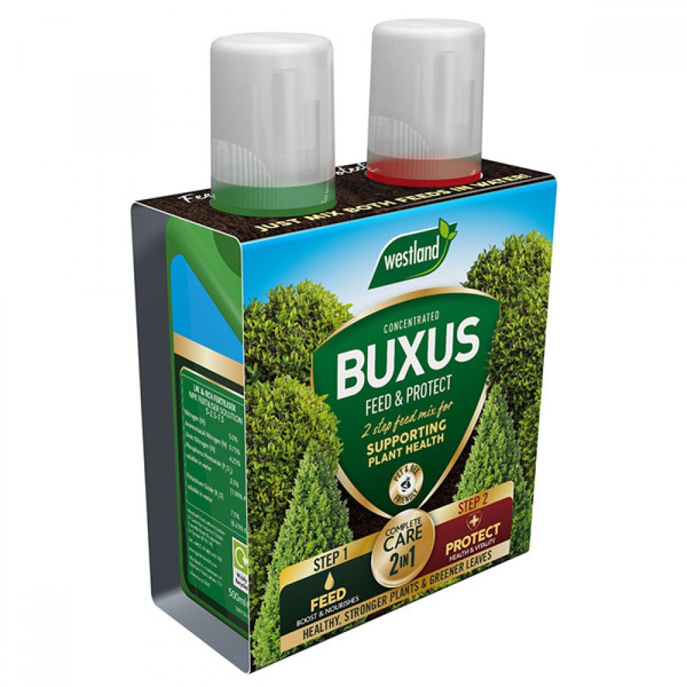 Westland Buxus 2 In 1 Feed & Protect | 2 x 500ml Bottles