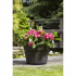 Whisky Barrel Planter - Small