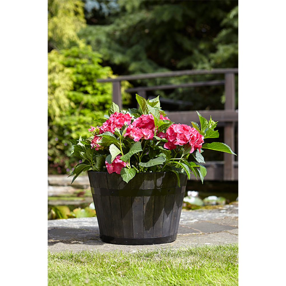 Whisky Barrel Planter - Medium