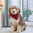 Red Check Beau Bandana - L/xl | 8003029