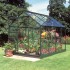 Popular Greenhouse | 8' x 6' | Green | Horticulture Glass