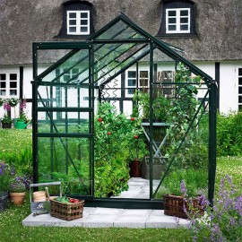 Popular Greenhouse | 8' x 6' | Green | Horticulture Glass