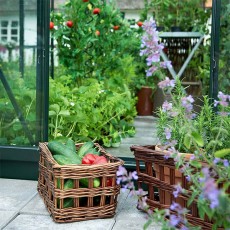 Popular Greenhouse | 8' x 6' | Green | Horticulture Glass