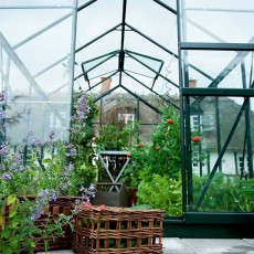 Popular Greenhouse | 8' x 6' | Green | Toughened Glass
