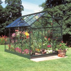 Popular Greenhouse | 8' x 6' | Green | Toughened Glass