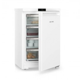 Liebherr Freezer | FE1404