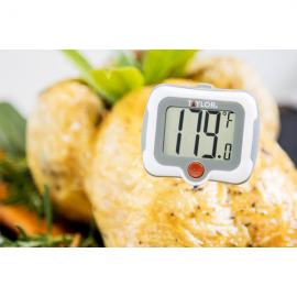 Pro-digital Pivoting Step Thermometer