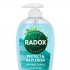 Radox Protect & Replenish Hand Wash 250ml | 931921