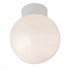 Southwest Bathroom Globe | 60w 