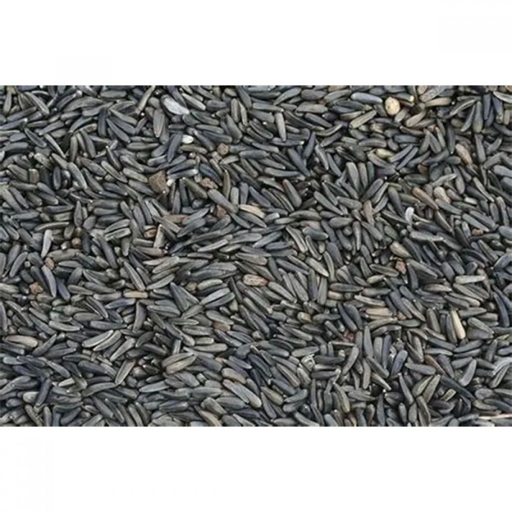 Nyjer Seed 2kg | 2400951