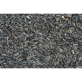 Nyjer Seed 2kg | 2400951