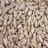 Sunflower Hearts | Choose Size