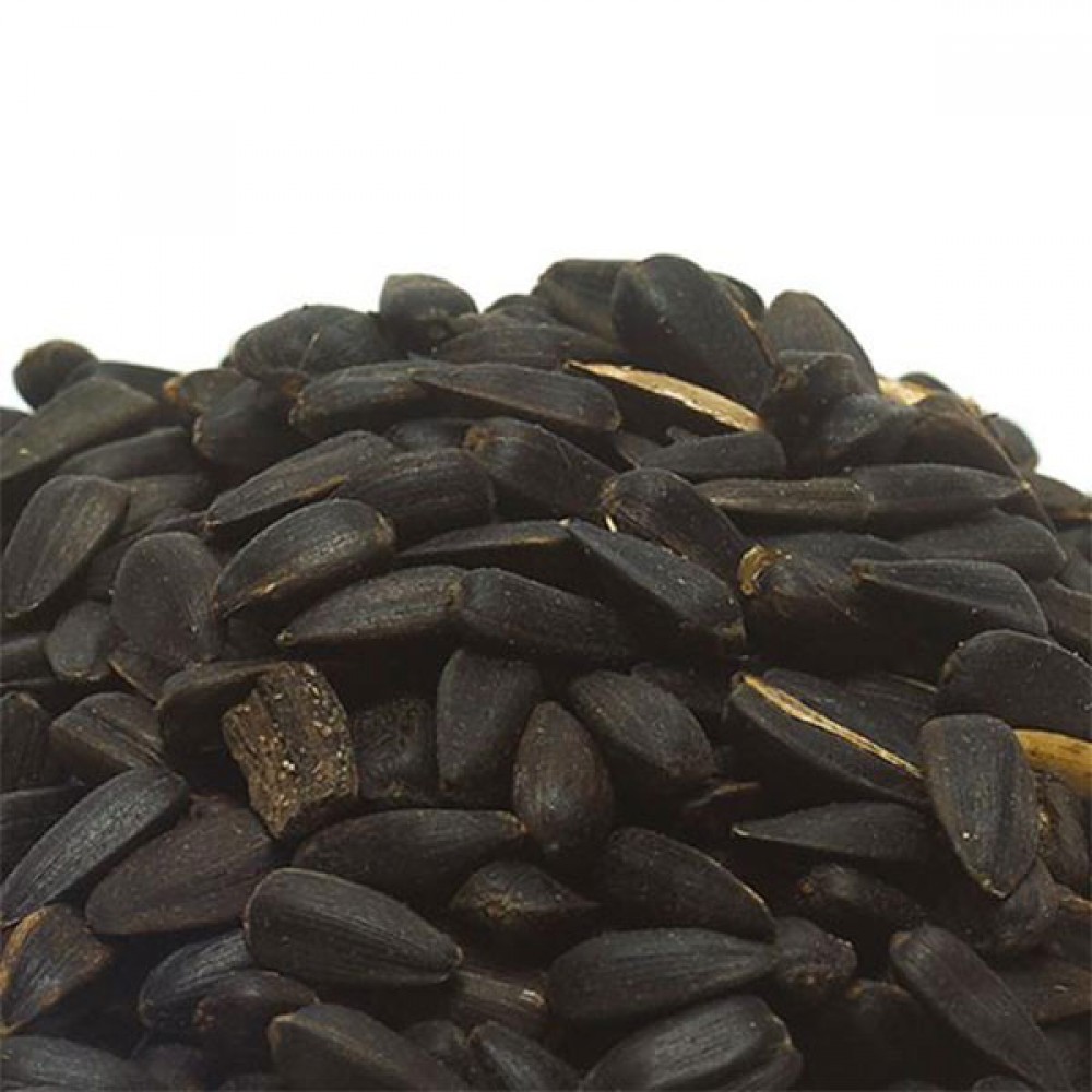 Black Sunflower Seed 1.5kg | 2400331