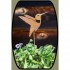 Hummingbird Pick | R107