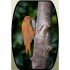 Woodpecker | R108