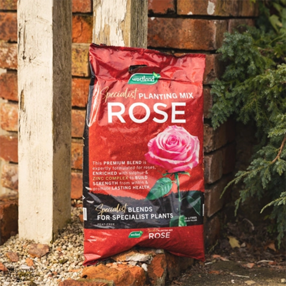 Rose Planting Mix 10L Pouch | 11400036