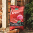 Rose Planting Mix 10L Pouch | 11400036