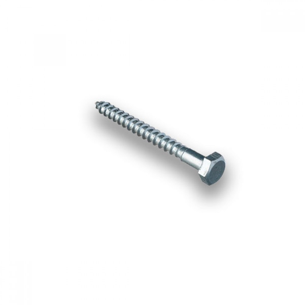 Coach Screw | Options