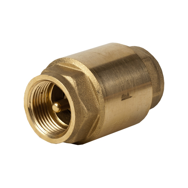 305 2 Inch Spring Non Return Valve (female)