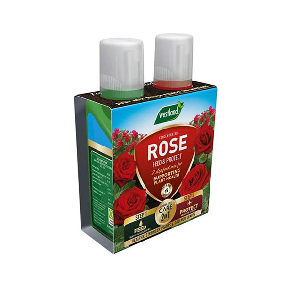 Westland Rose 2 In 1 | 20100417